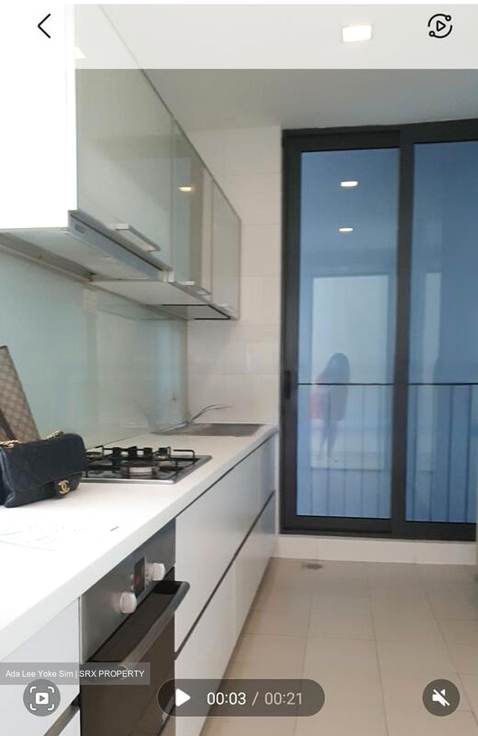 Duet (D10), Condominium #472259391